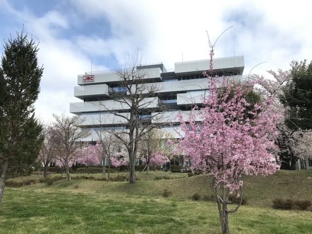 参加企業からの意気込み紹介＜4月7日＞日本無線様【さつき・ラン＆ウォーク】