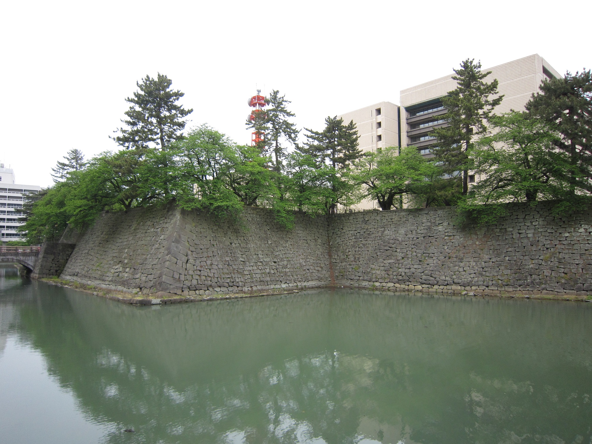 ふくい桜マラソン（福井県・福井市）／丸岡城・福井城址